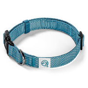 Illuminate Reflective Dog Collar