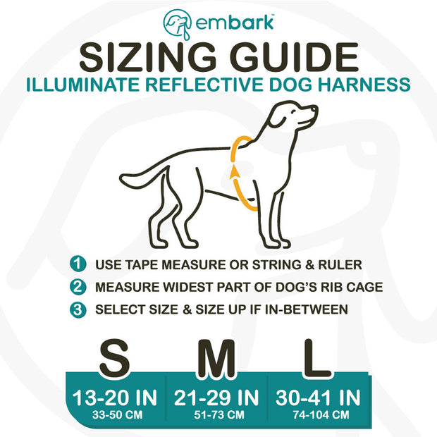 Illuminate Reflective Dog Harness
